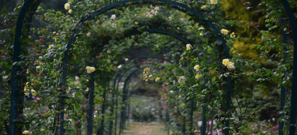 Floral Arches & Statement Installations