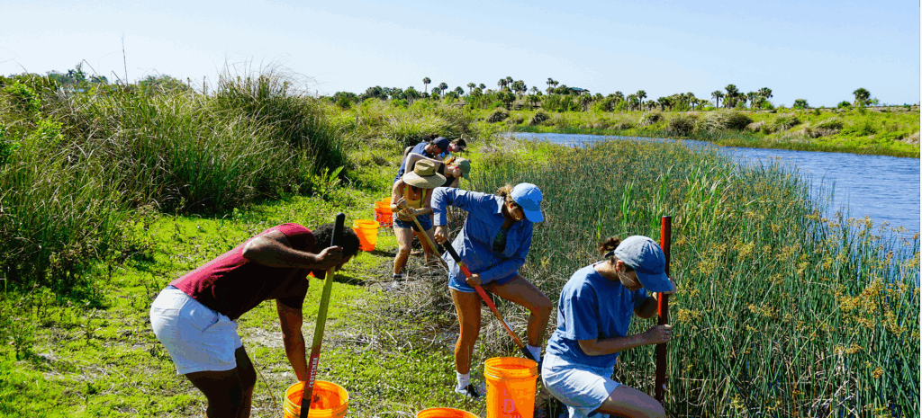 Corporate Volunteering in the Bay Area