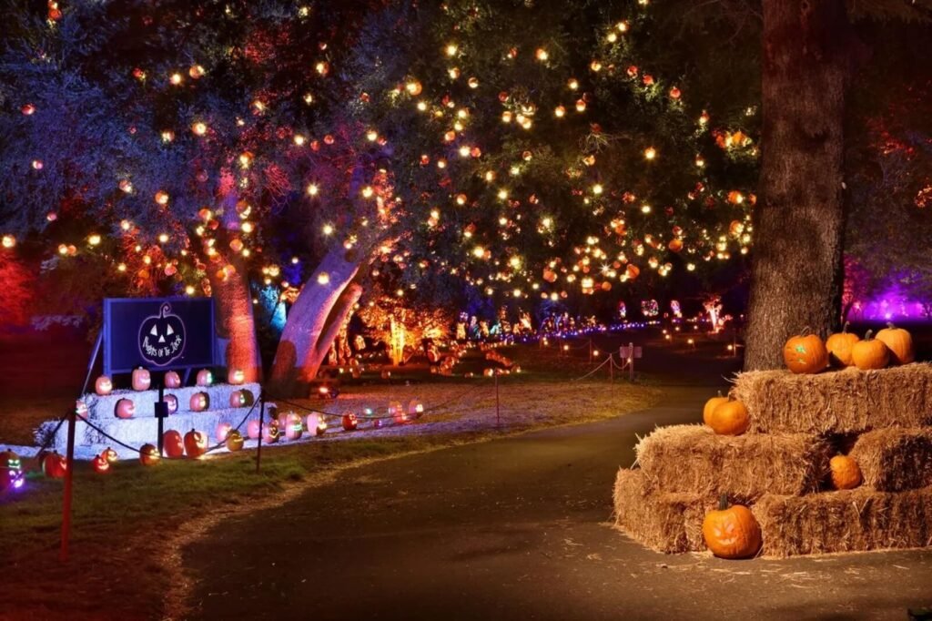  Halloween staple Nights of the Jack